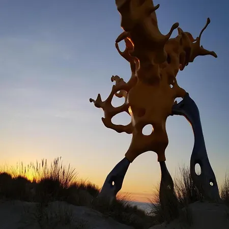 In Belgium With Sea View Terrace